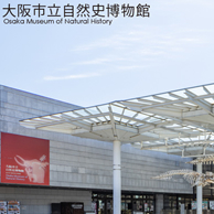 大阪市博物館機構